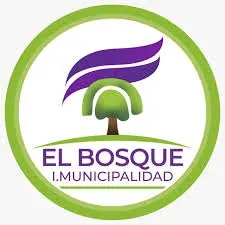 Cliente Municipalidad de El Bosque